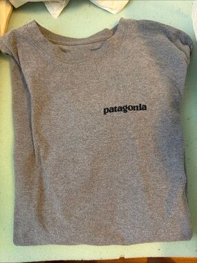 Patagonia tshirt